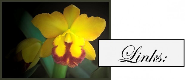 orchid yellow for links